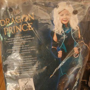 Dragon Prince Halloween Costume